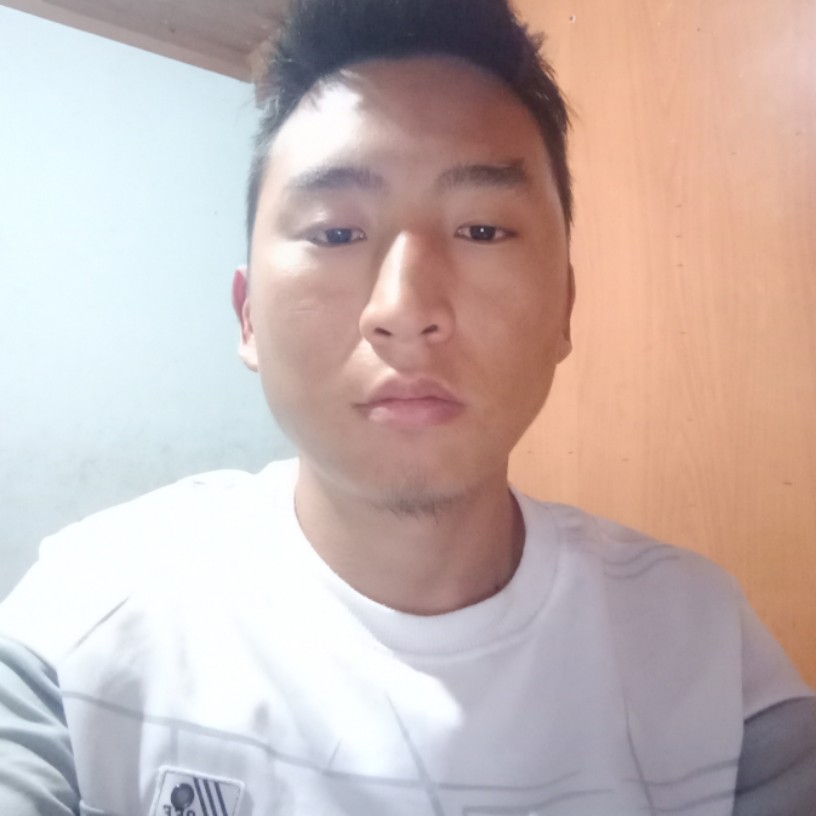 六月芒果的照片