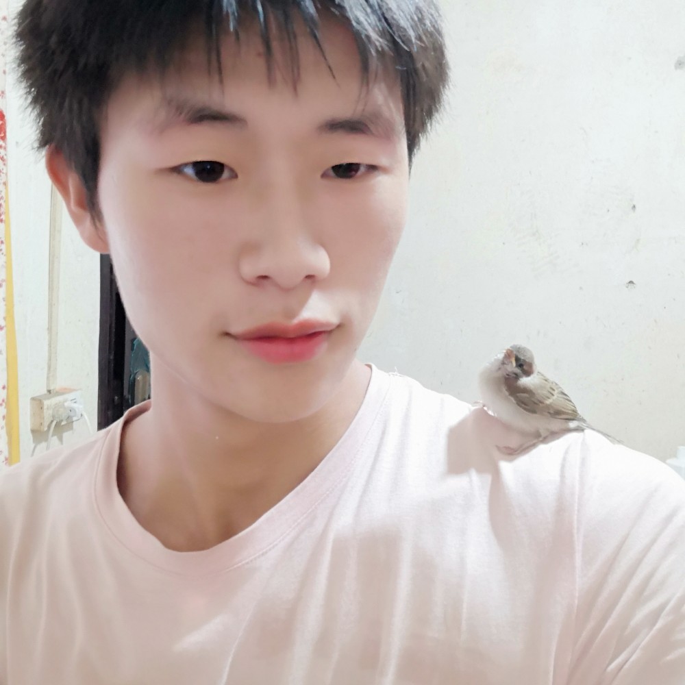 五品带砖侍卫的照片