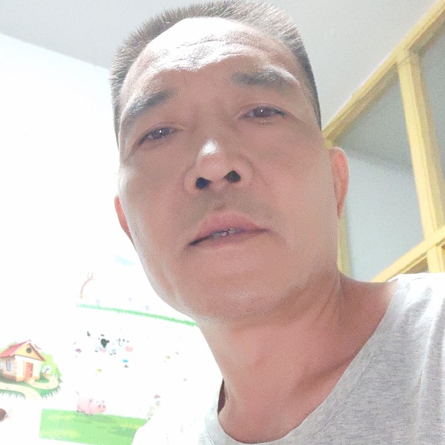 黑猫俏皮的照片