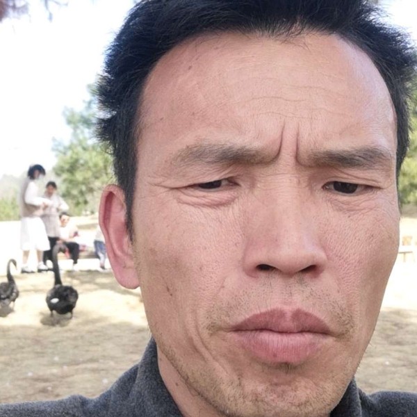 纯情停止断夏的照片