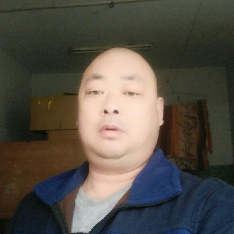 不找一夜之情，的照片