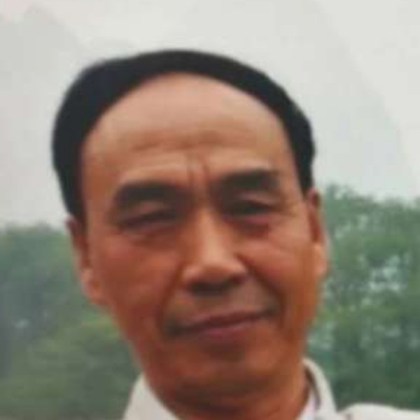 机灵停止玫瑰的照片