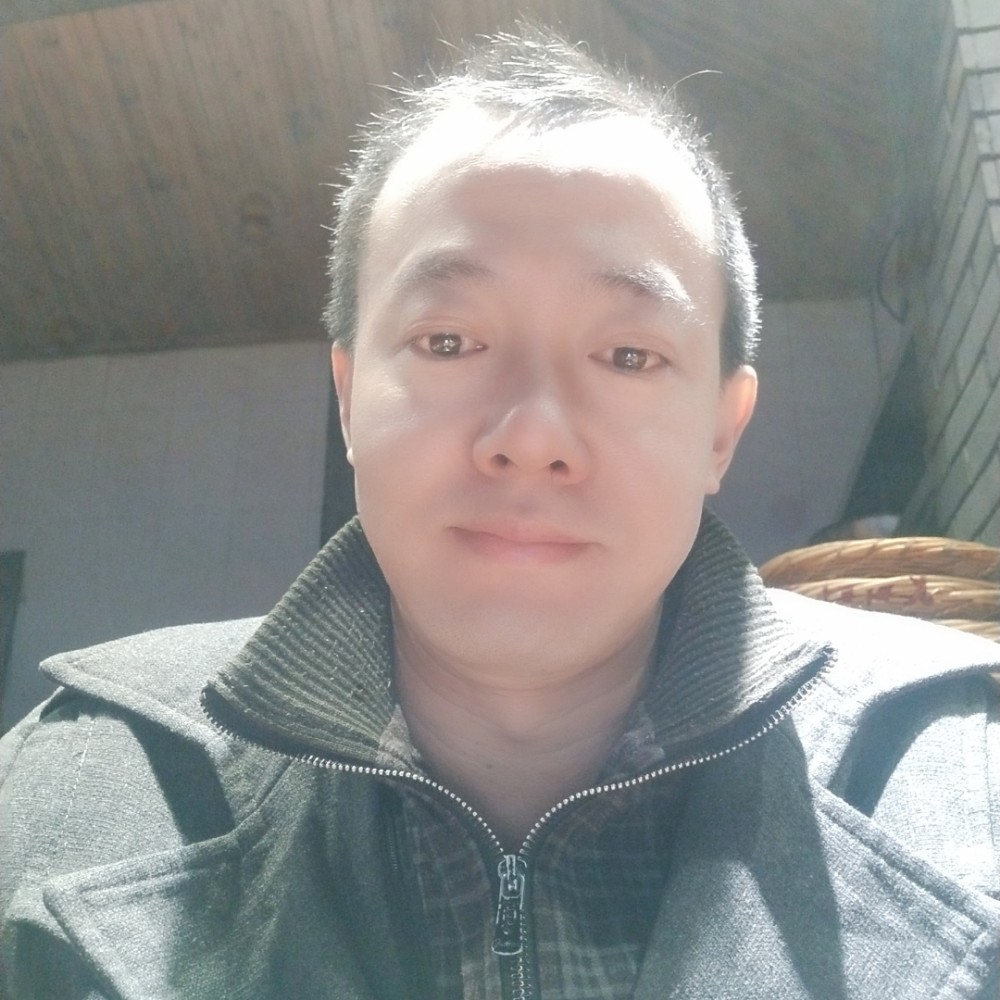 无心等于大雁的照片