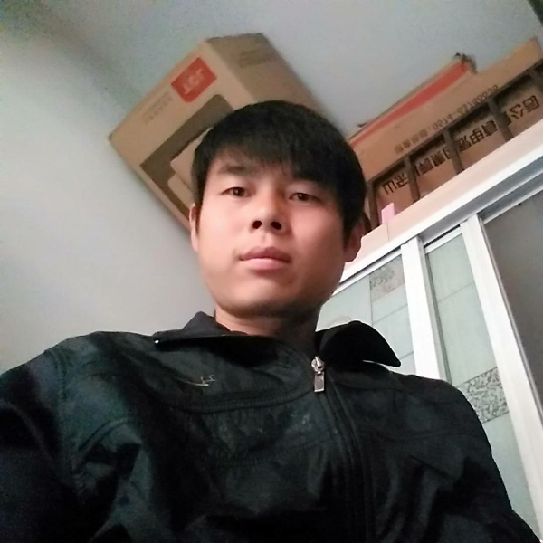 健康回首小刺猬的照片