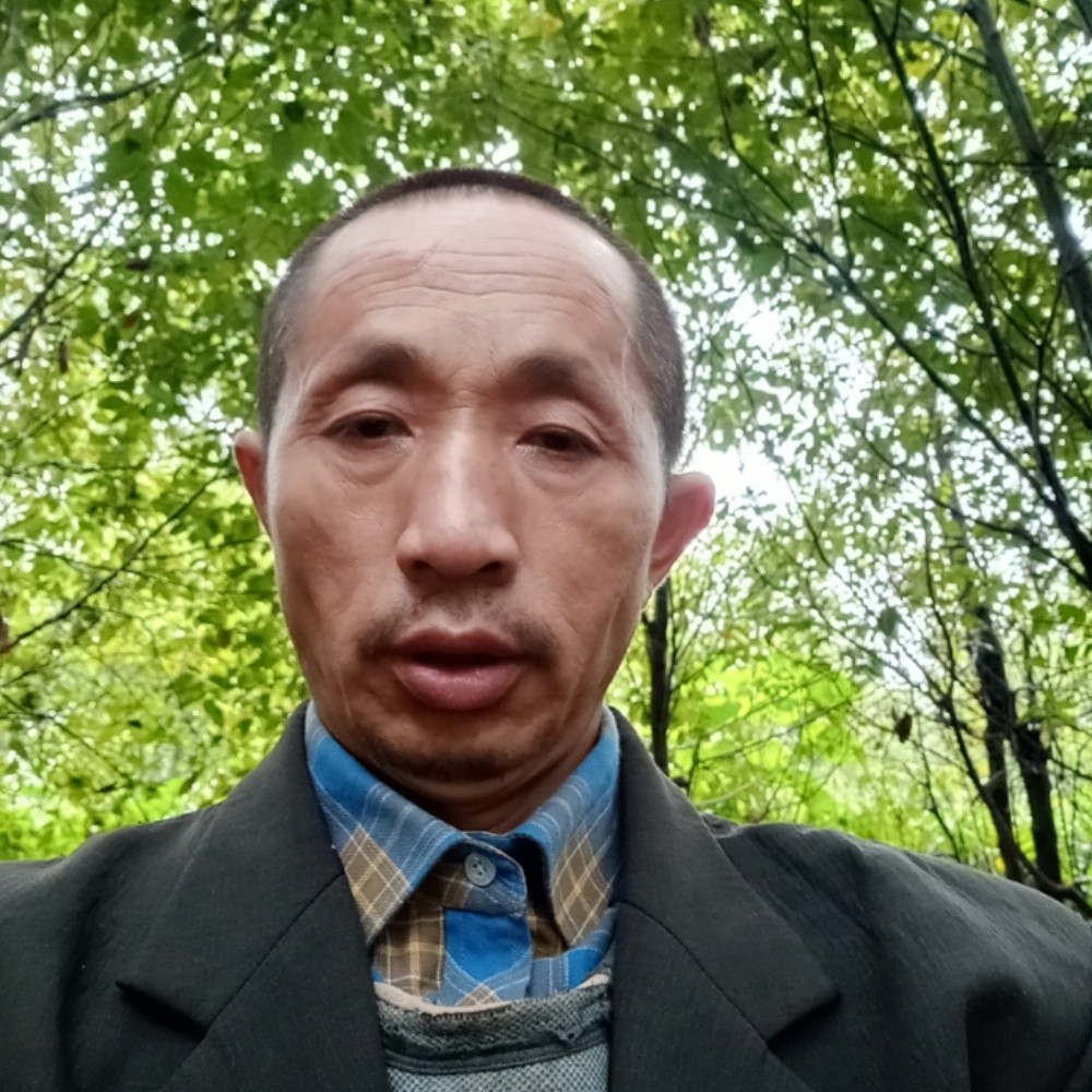 春。的照片