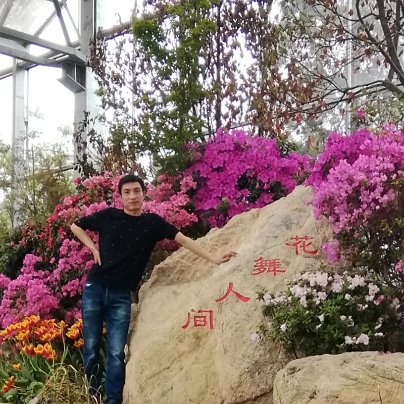 黄蜂倾心阔达的照片