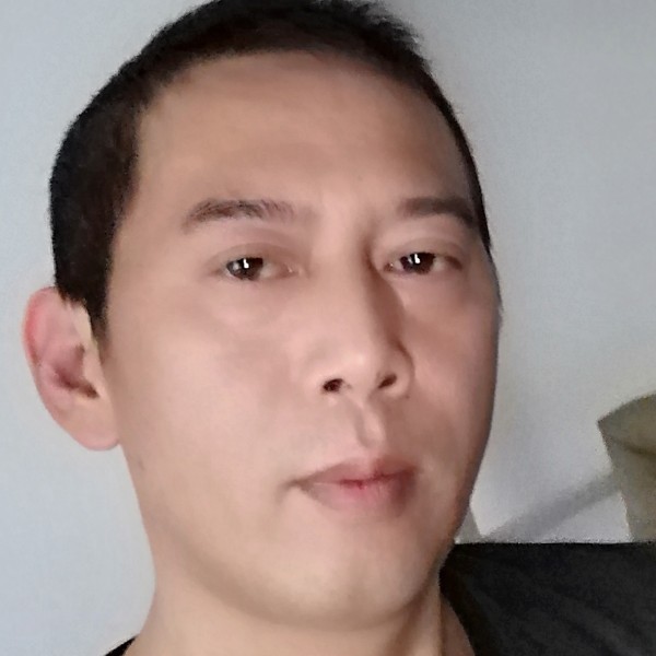 龙凤呈祥520的照片