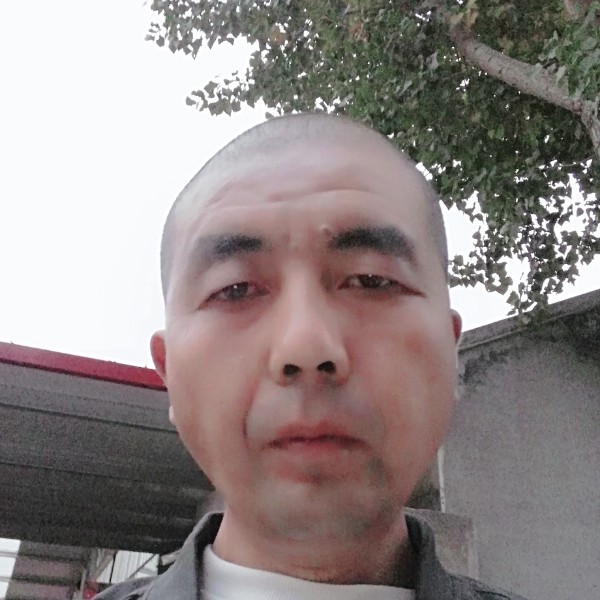 缘情已往的照片