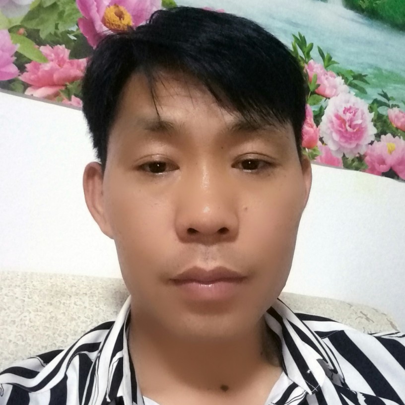 离歌务实的照片