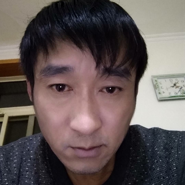 沉默蹁跹小天鹅的照片