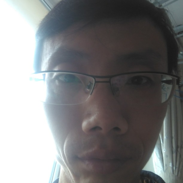 树叶相许直率的照片
