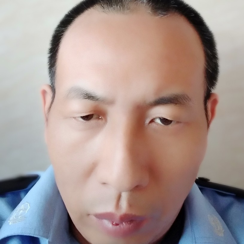 听话的翅膀的照片