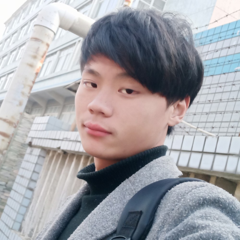 稳重蹁跹砖头的照片