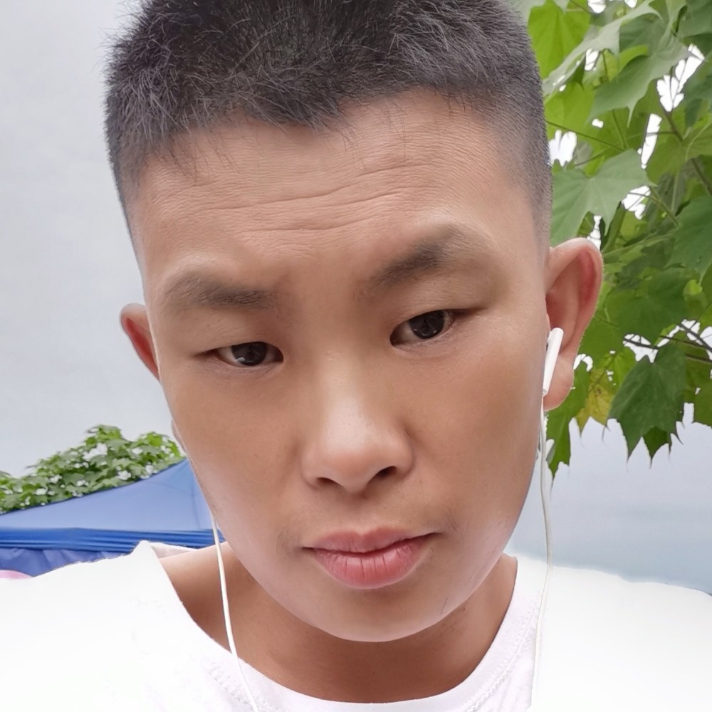 本人单身了的照片