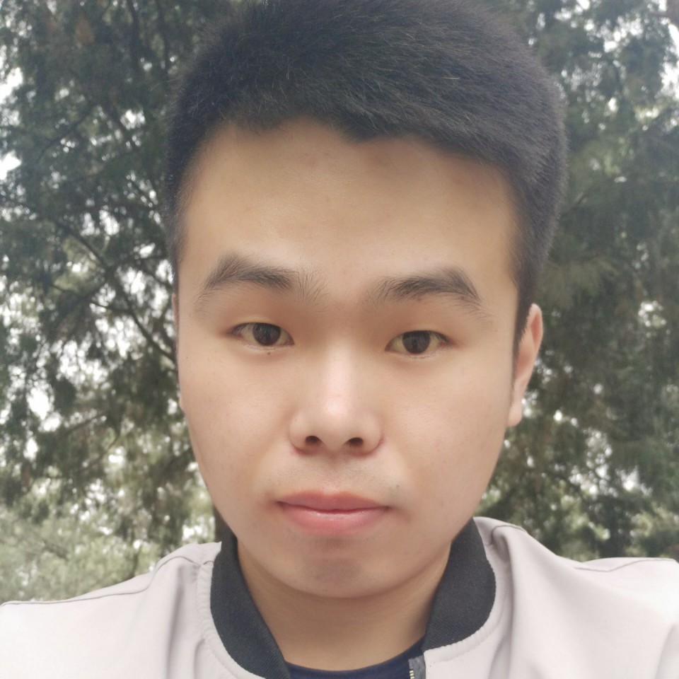 灵巧漫步太阳的照片