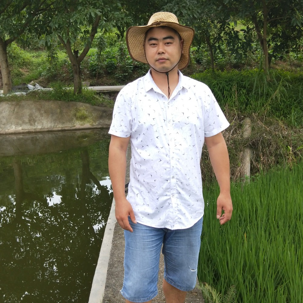 简单空白的照片