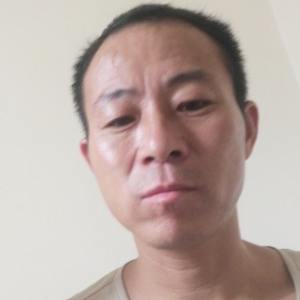 大象与老实的照片