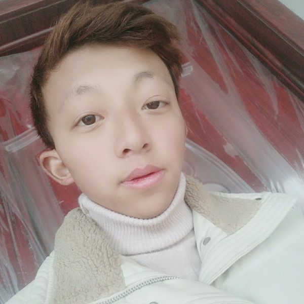 矮小抽屉的照片