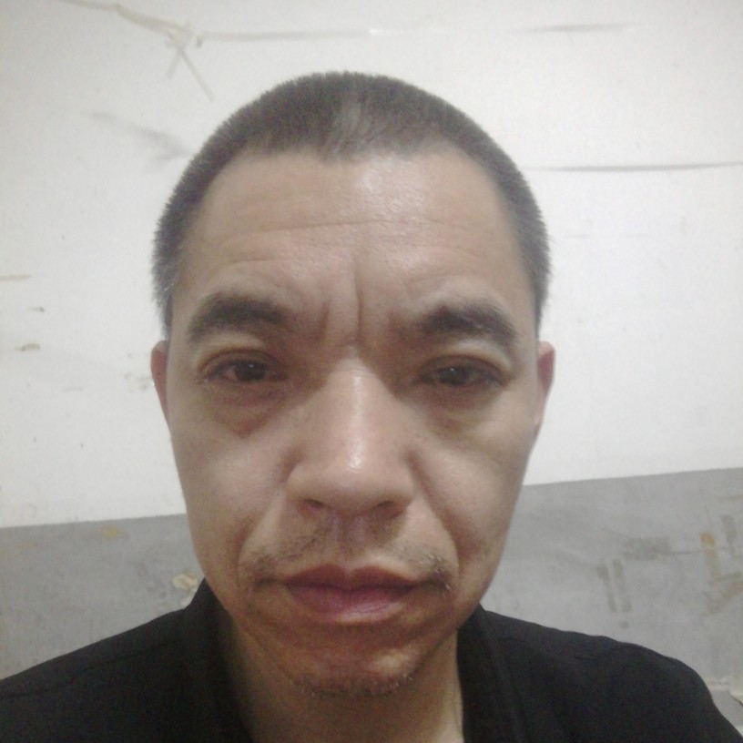 坦率等于胡萝卜的照片