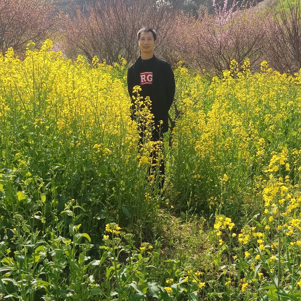 半夏朴实的照片