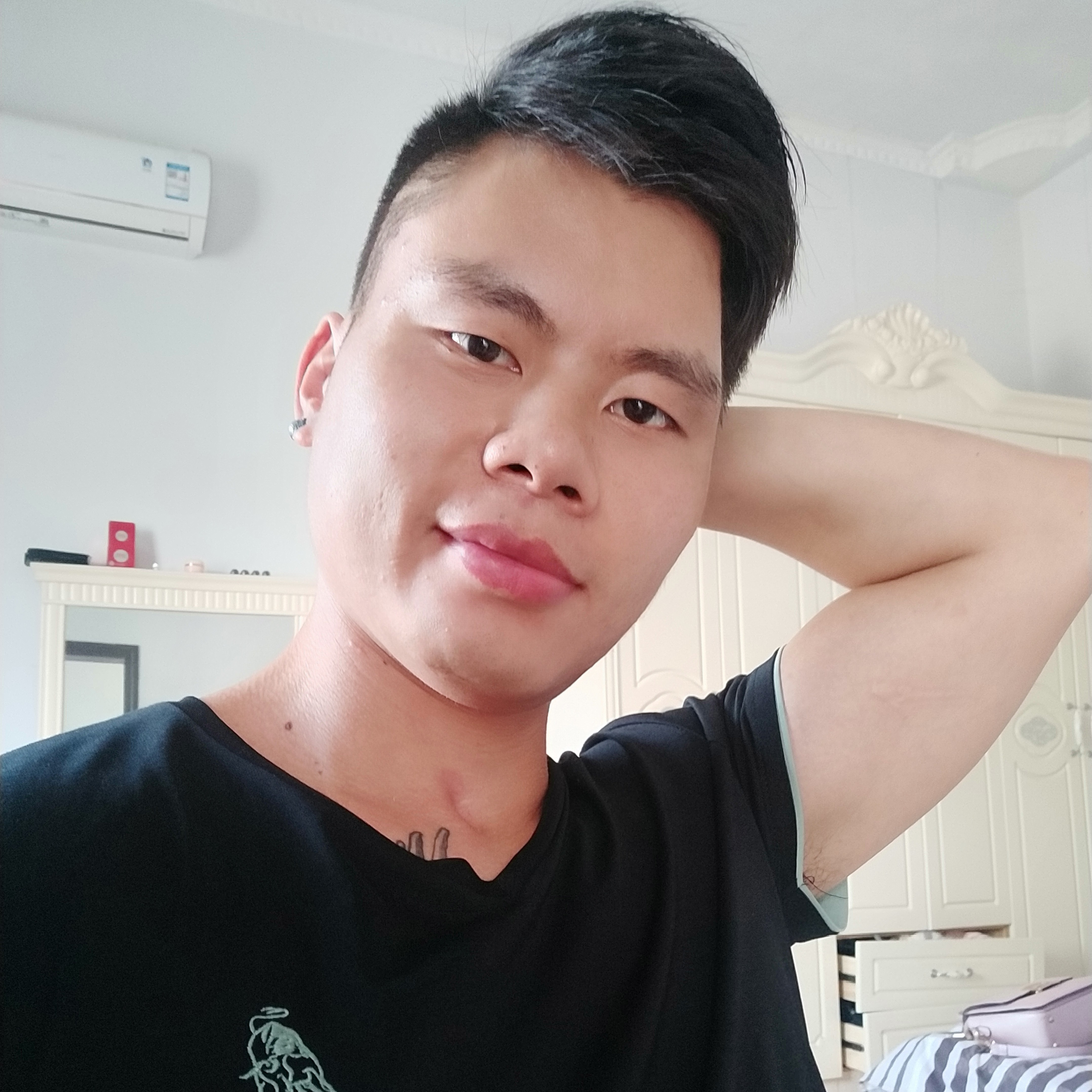 愉快漫步小海豚的照片