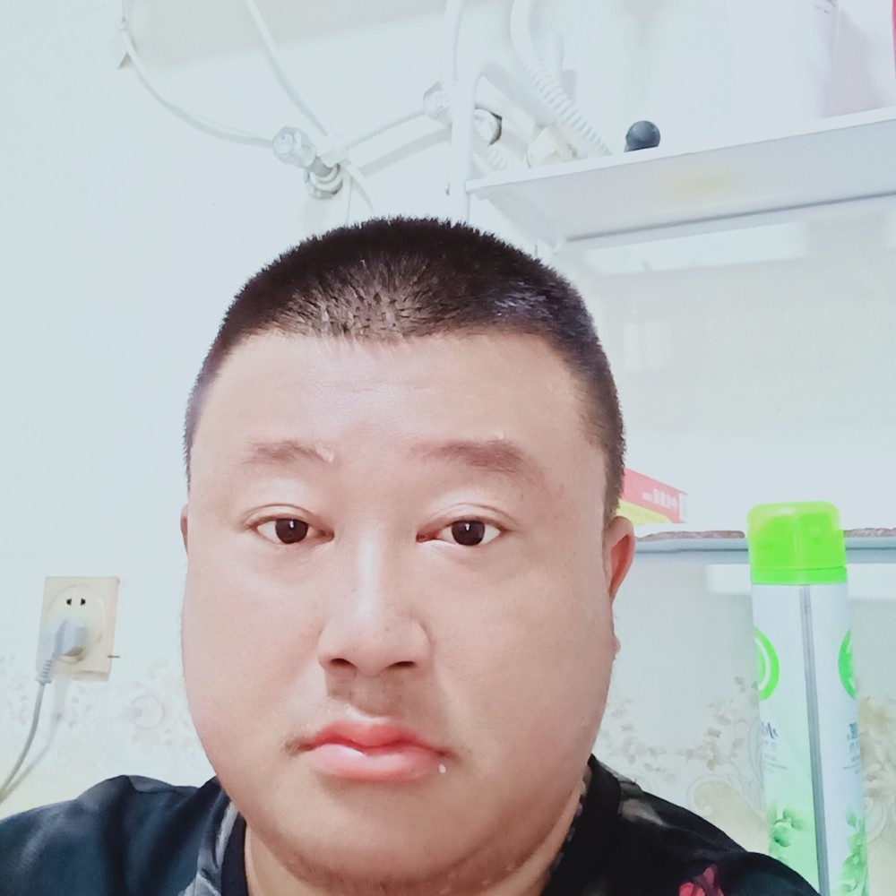 动听还金鱼的照片