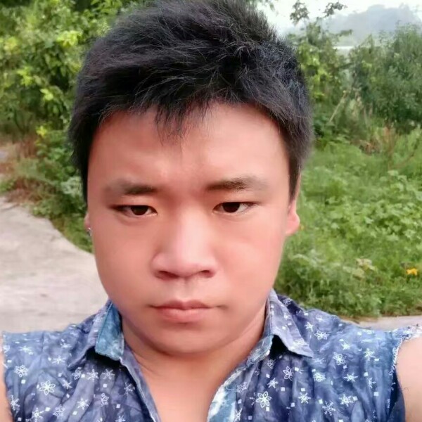 昏睡灰狼的照片