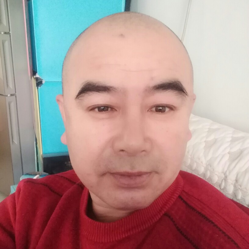 刺猬打温柔的照片