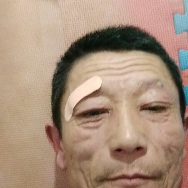 东方映山红的照片