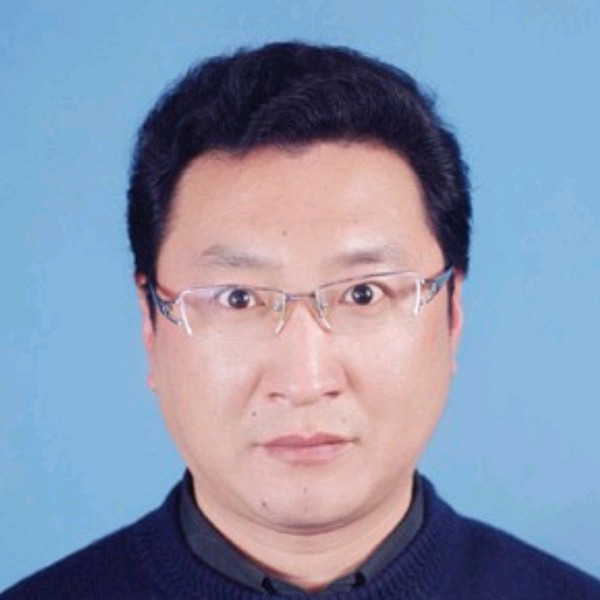 杉木成林的照片