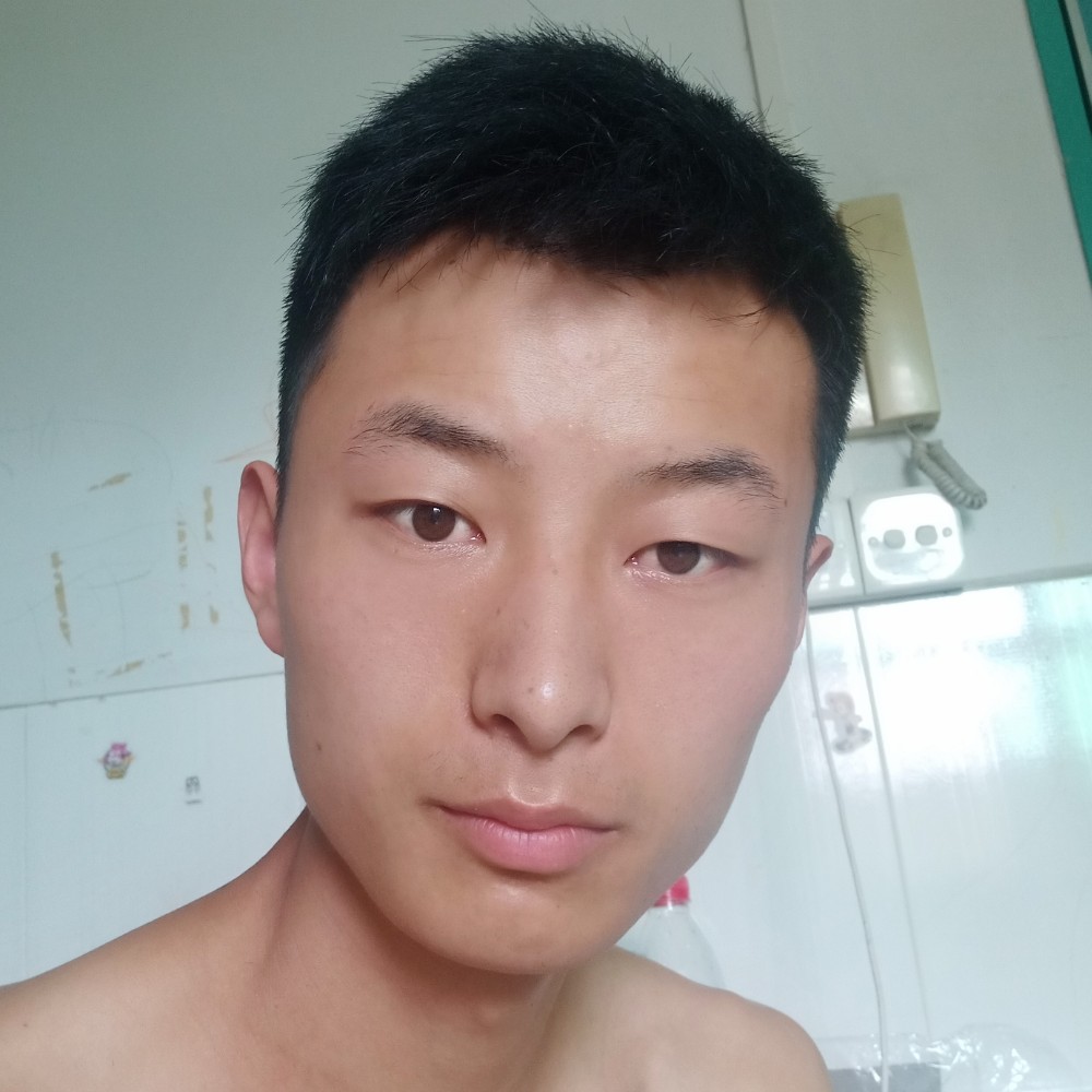 北方的狼520的照片