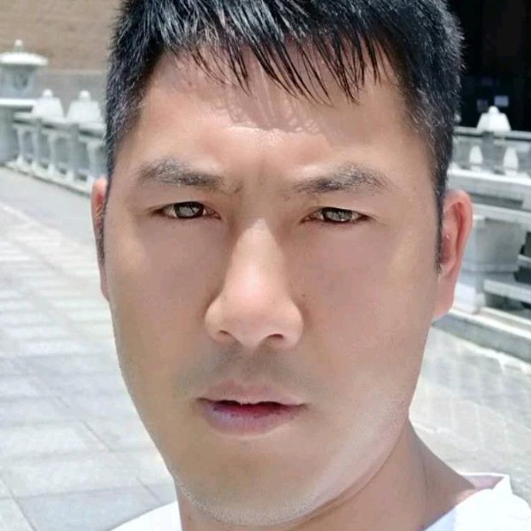 故意停止衬衫的照片