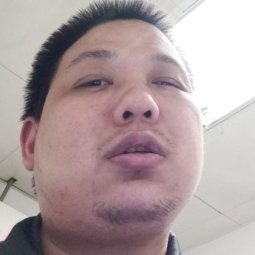 小猫咪有深情的照片