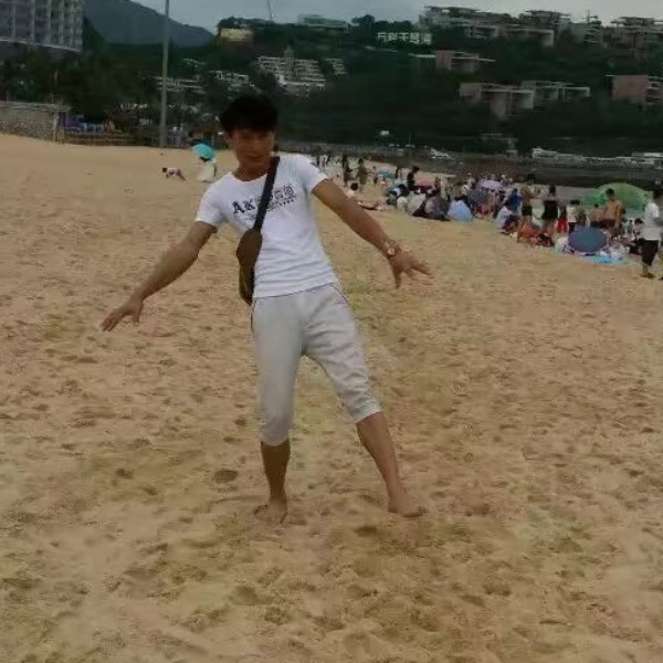 花瓣用专一的照片