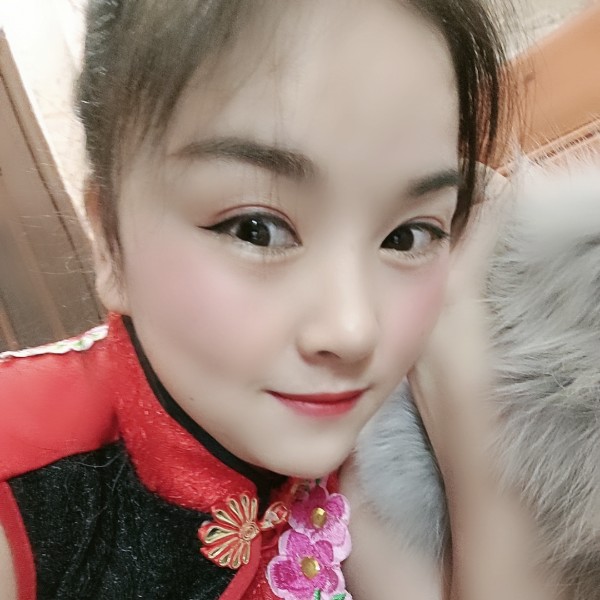 木呆猫的照片