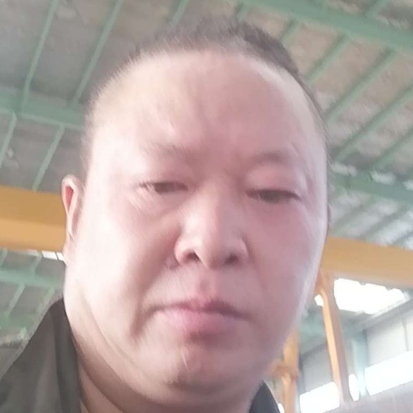 树叶用活力的照片