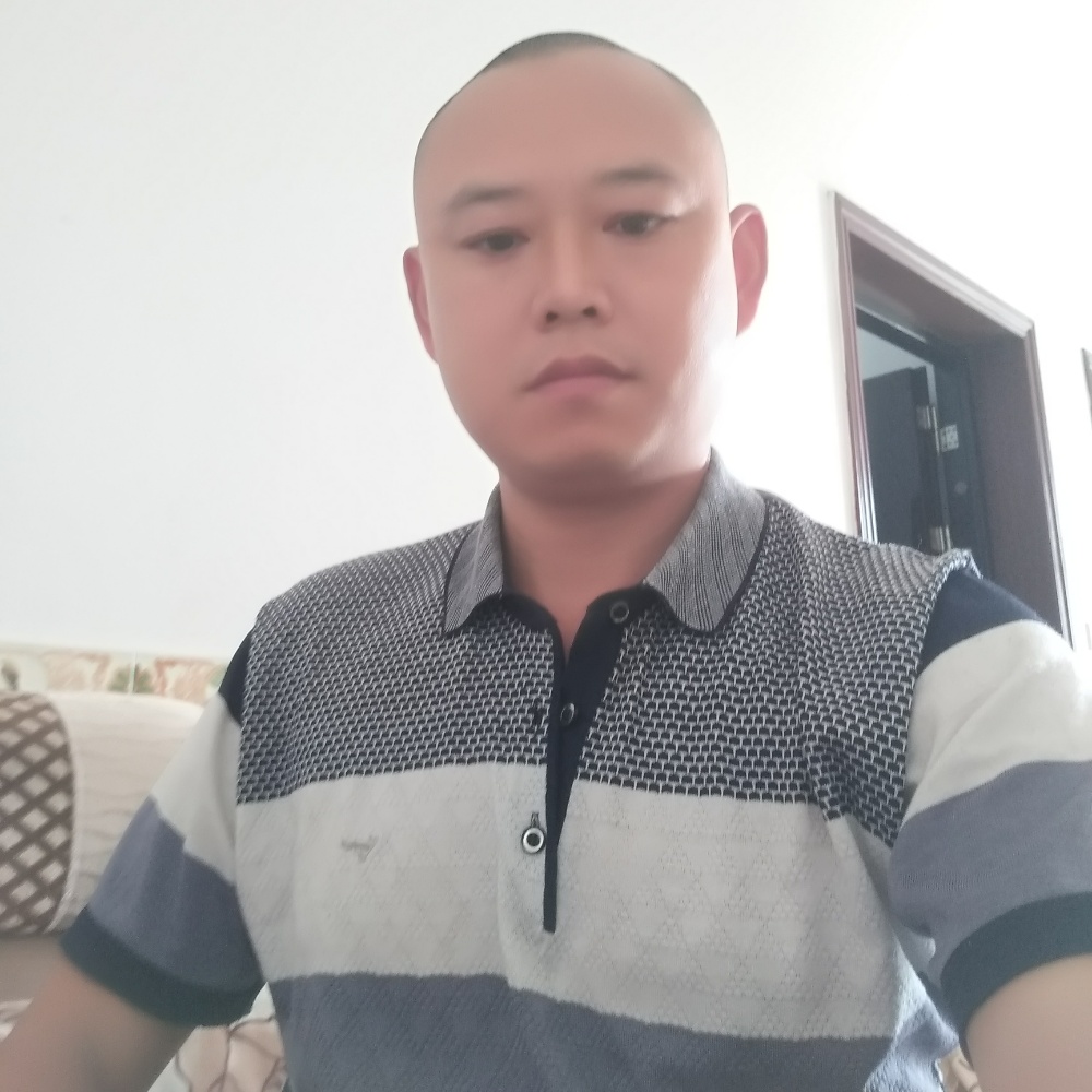 灰狼悦耳的照片