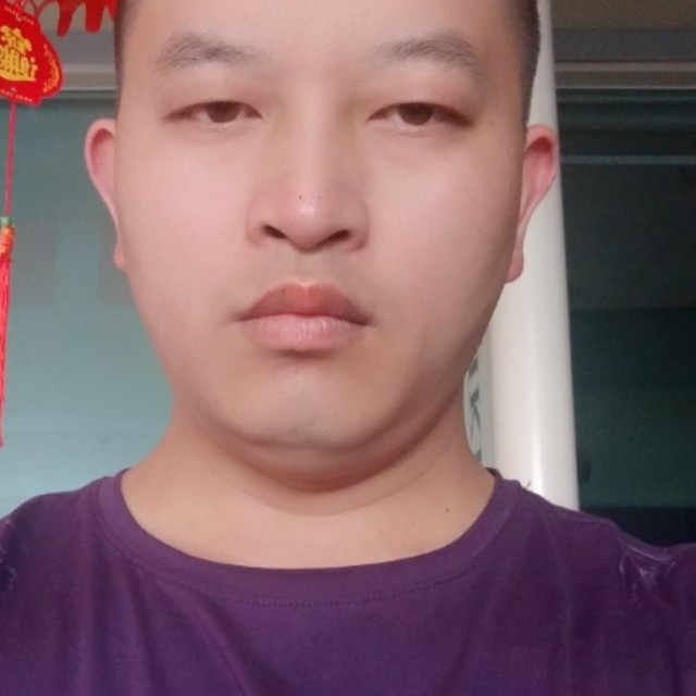 清脆黄瓜的照片