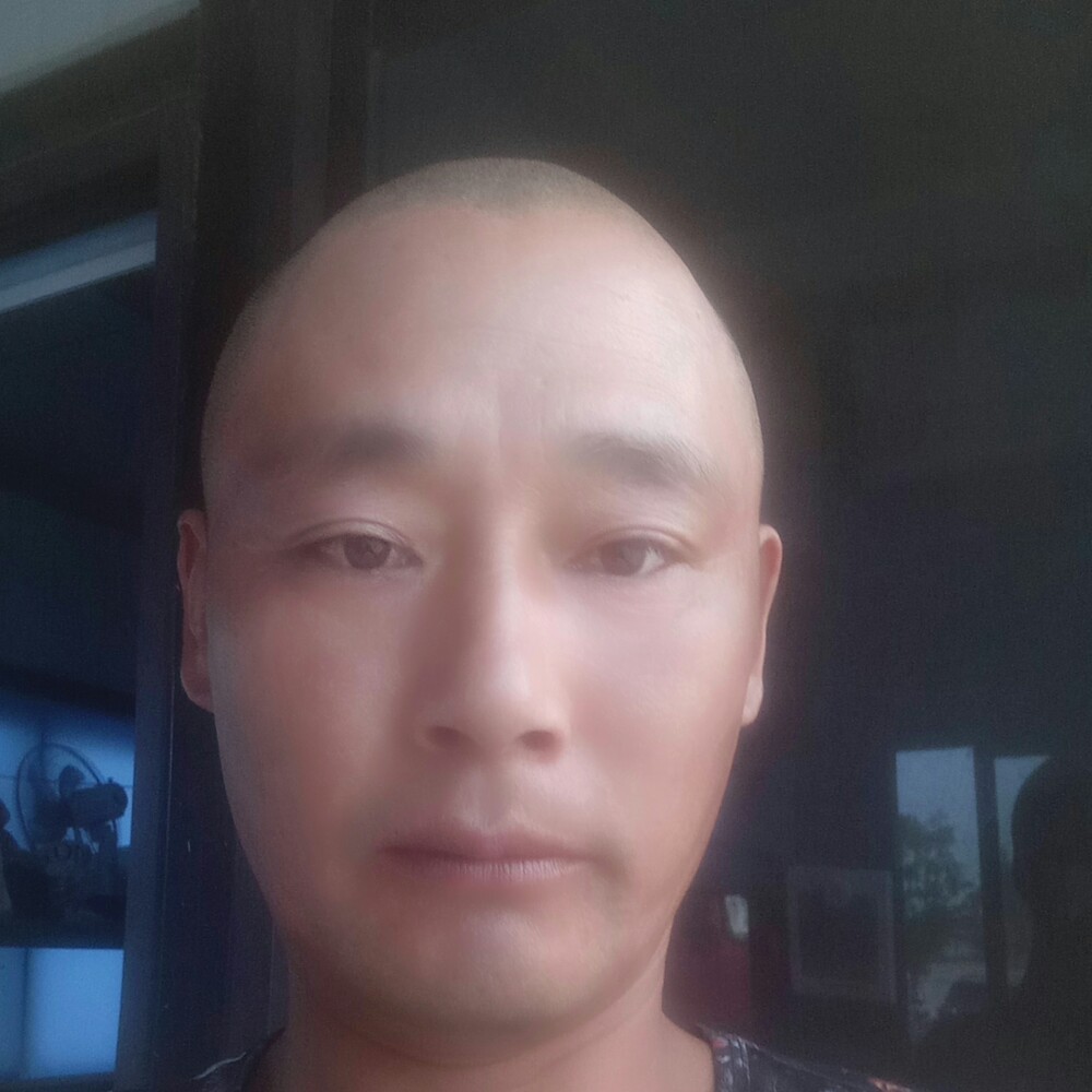 黄蜂笑受伤的照片