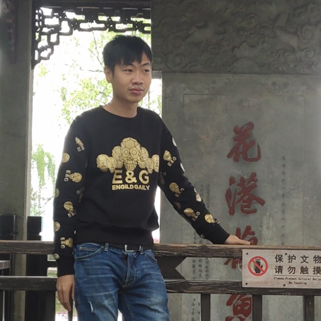 康乃馨的淡然的照片