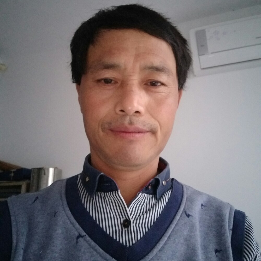 单身河马的照片