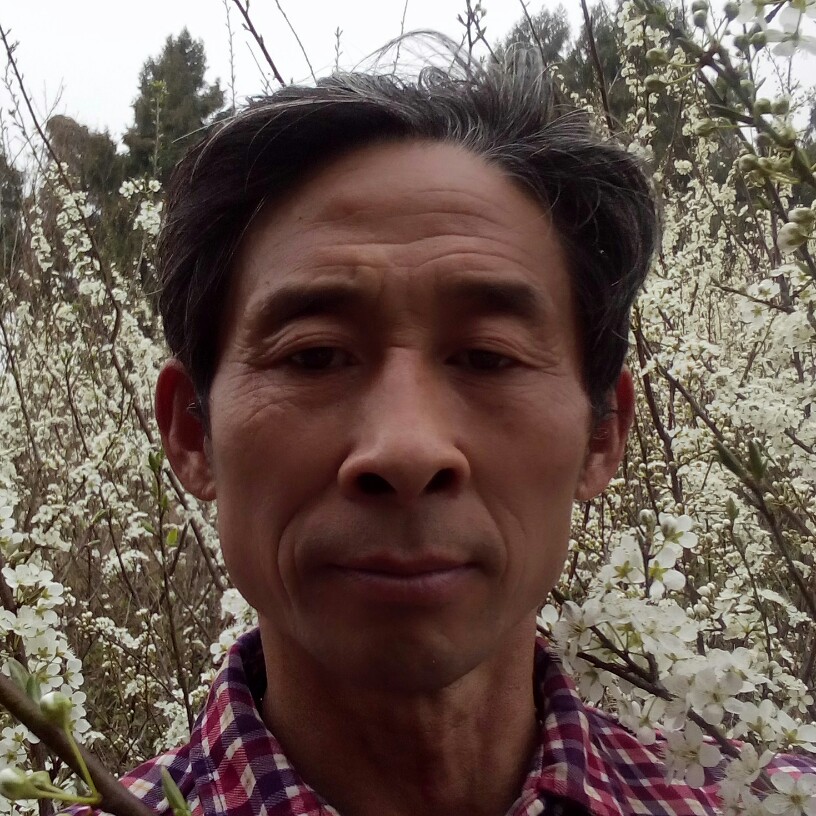 怕孤独给期待的照片
