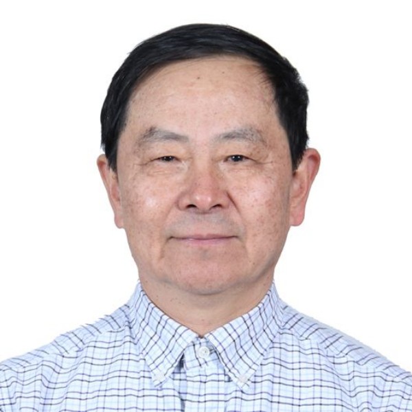 枫叶子飘飘然的照片