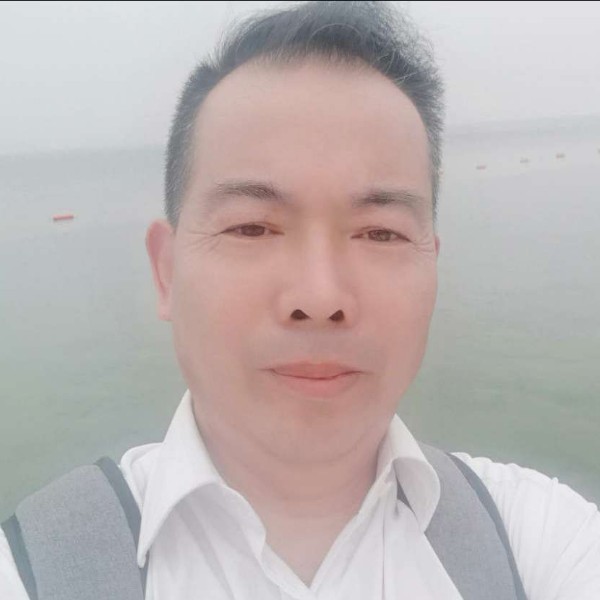 迷离等待大象的照片
