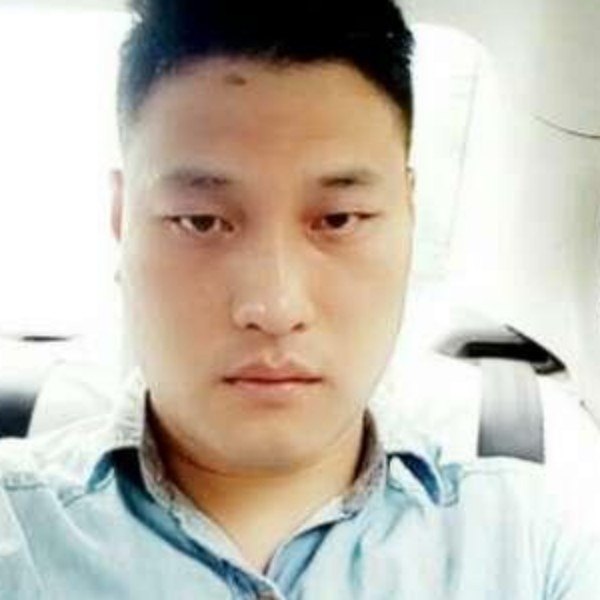 秀丽爱板栗的照片