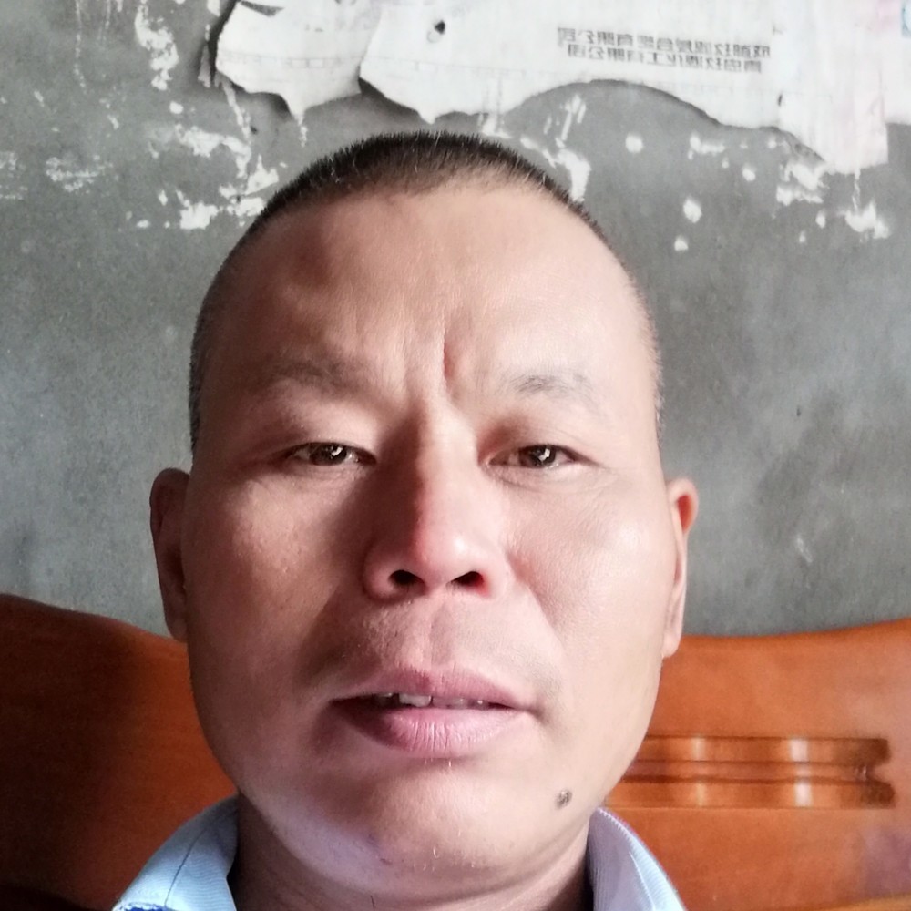 曾哥鸽舍的照片