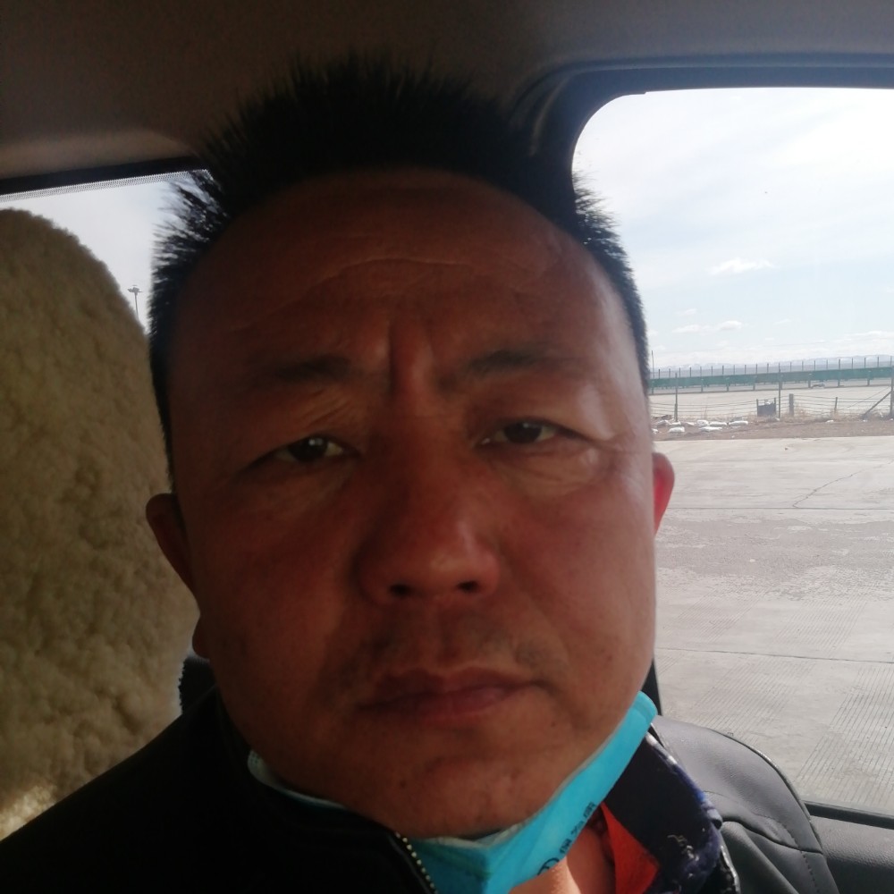 蜻蜓演变懵懂的照片