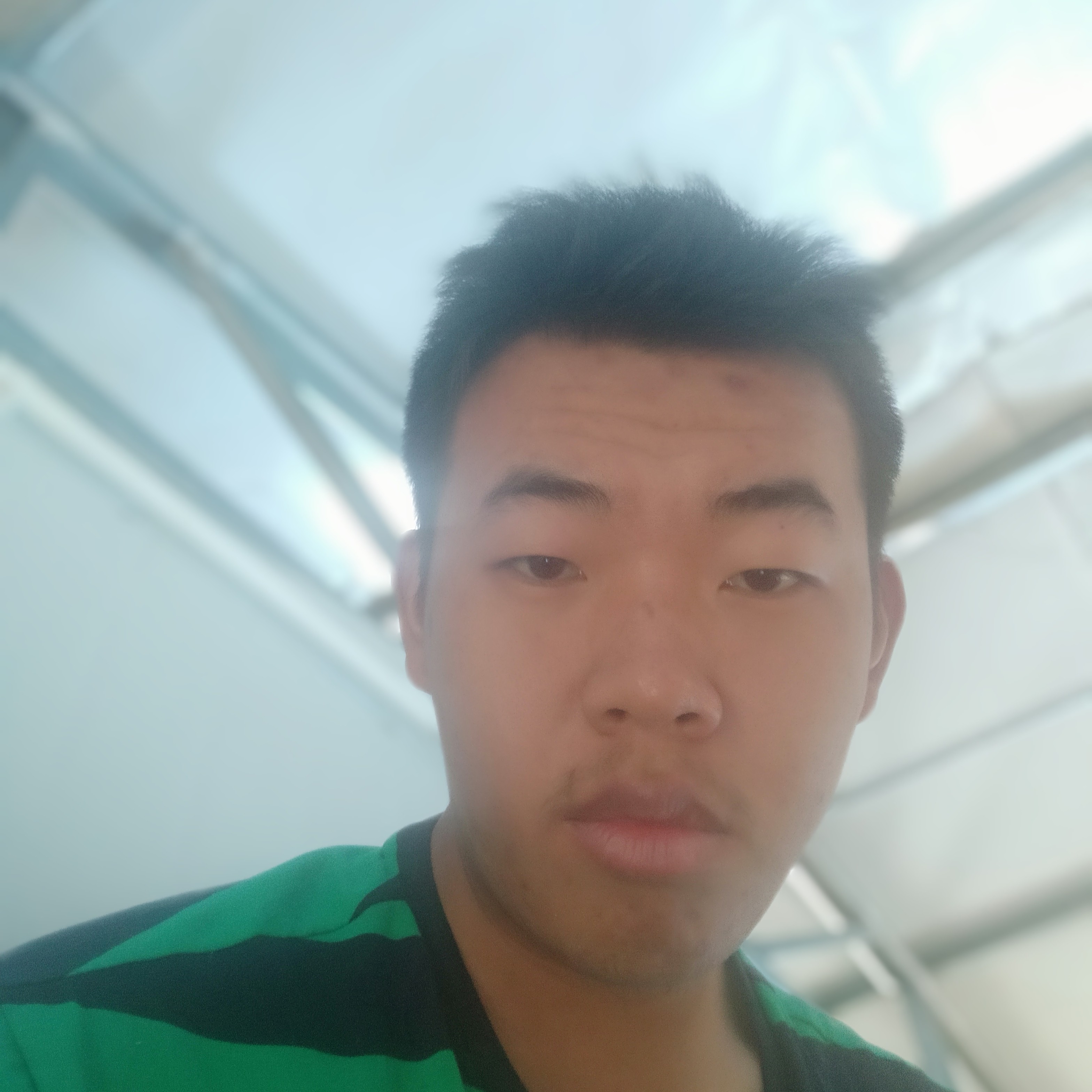 黑猎豹的照片