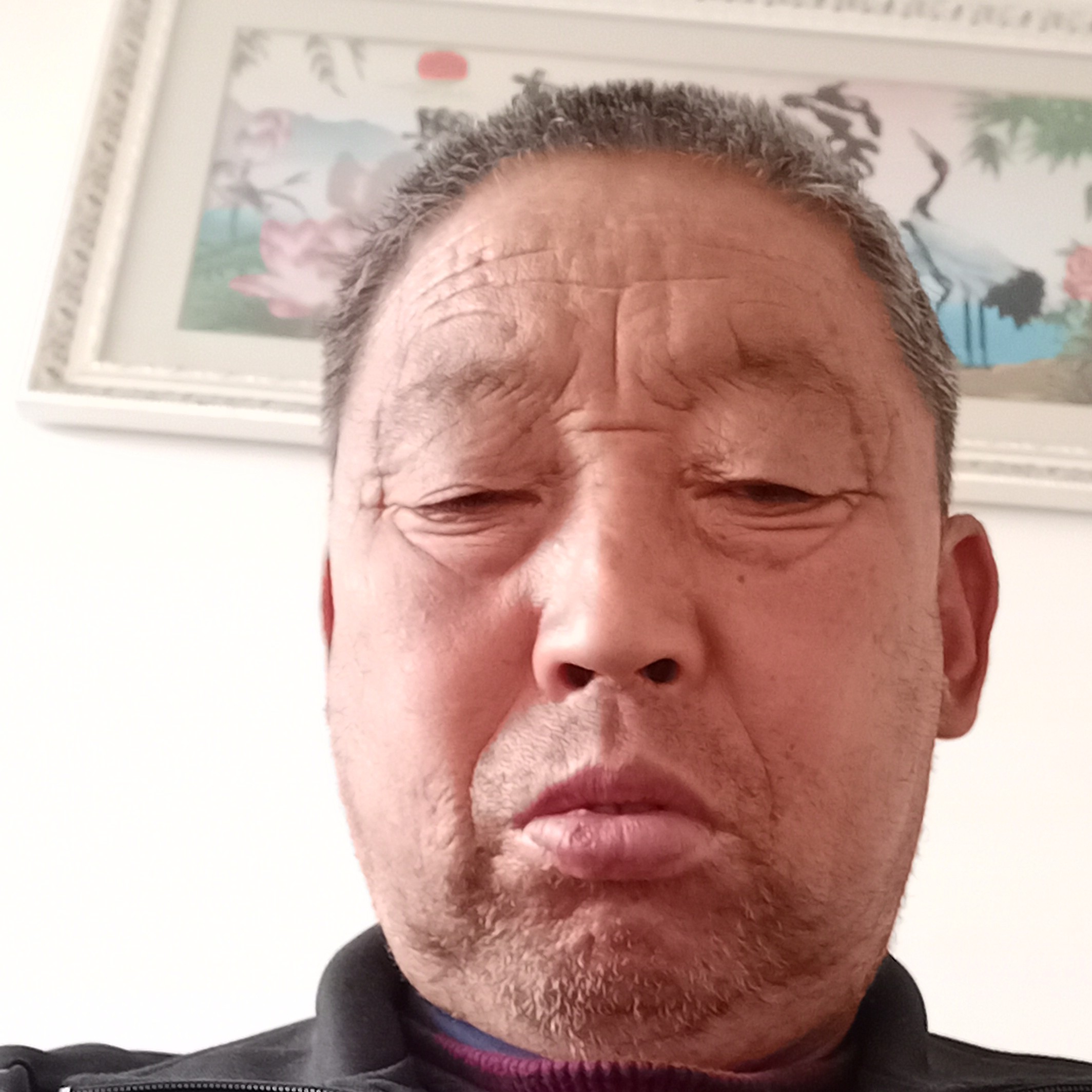 玫瑰等待靓丽的照片