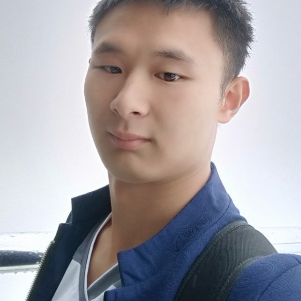 高兴的大雁的照片
